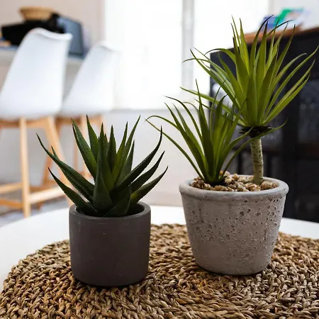 La Bateliere By Interhome * Trouville-sur-Mer