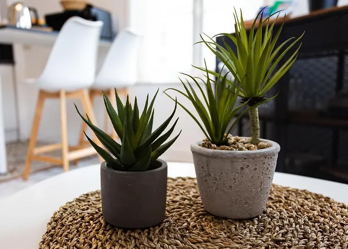 La Bateliere By Interhome * Trouville-sur-Mer